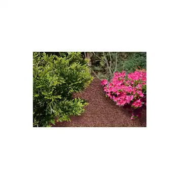 Zrębki drzewne BIOVITA 50 L kolor brązowy