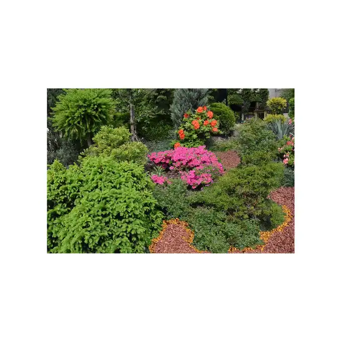 Zrębki drzewne BIOVITA 50 L kolor pomarańczowy
