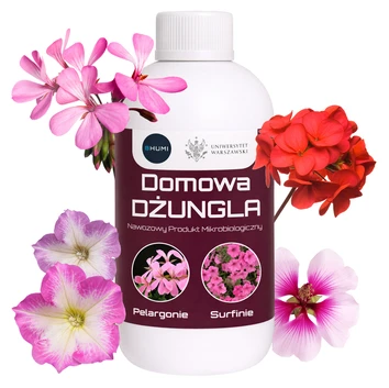 BHUMI Domowa Dżungla: Pelargonie, Surfinie 0,5 L