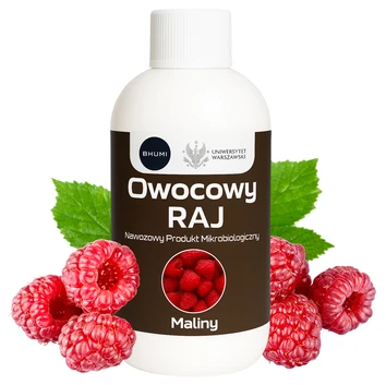 BHUMI Owocowy RAJ: Maliny 0,5 L