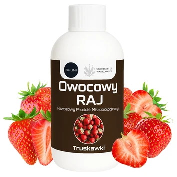 BHUMI Owocowy RAJ: Truskawki 0,5 L