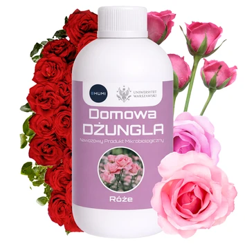 BHUMI Różana Elegancja seria Domowa Dżungla: 0,5 L