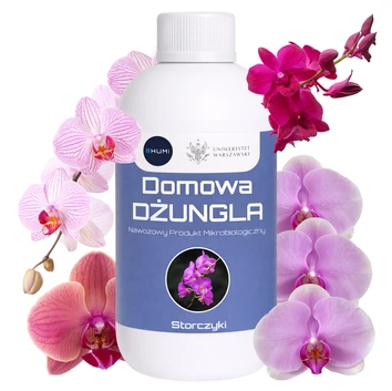 BHUMI Storczykowy CZAR seria Domowa Dżungla: 0,5 L