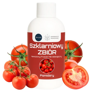 BHUMI Szklarniowy zbiór: Pomidory 0,5 L