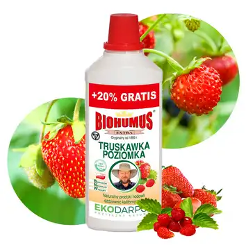 EKODARPOL BIOHUMUS EXTRA Truskawka poziomka 1L + 20% gratis