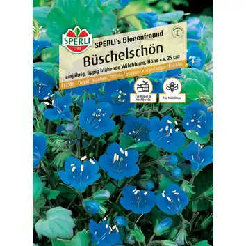 Facelia SPERLI's Bienenfreund Nasiona Premium Sperli