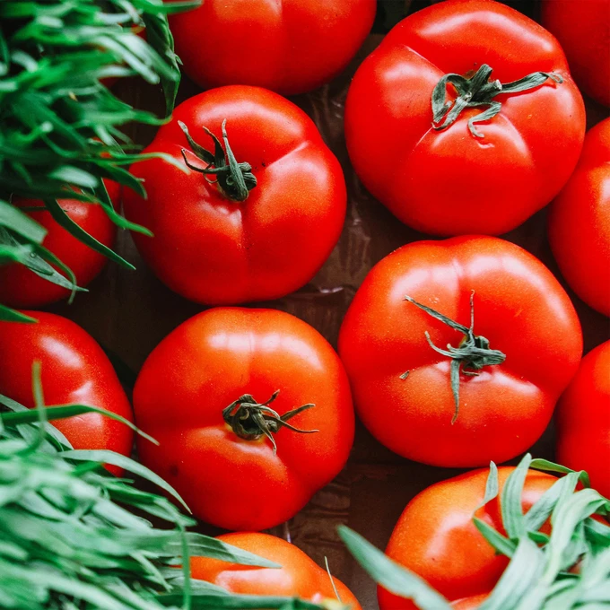 Biovita Nawóz organiczny do warzyw i pomidorów BIO granulat 3kg a`200