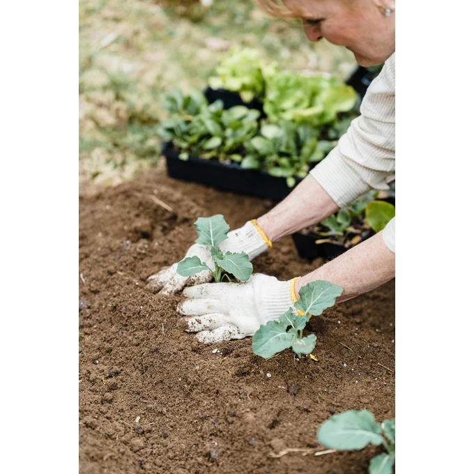 Biovita Nawóz organiczny uniwersalny BIO granulat 3kg