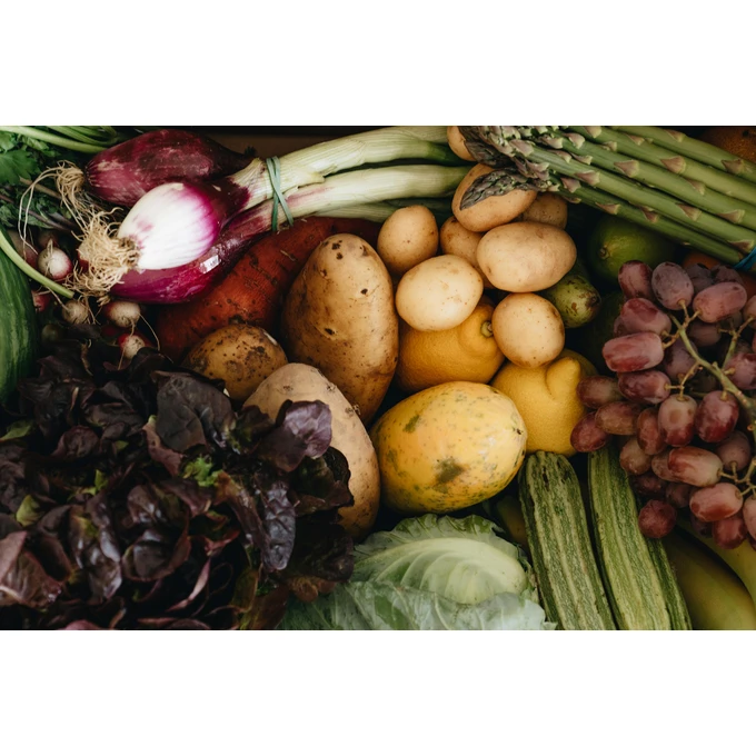 Biovita Nawóz organiczny uniwersalny BIO granulat 3kg