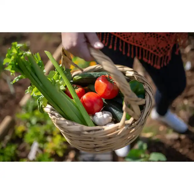 Biovita Wapno nawozowe granulowane 10kg a`100