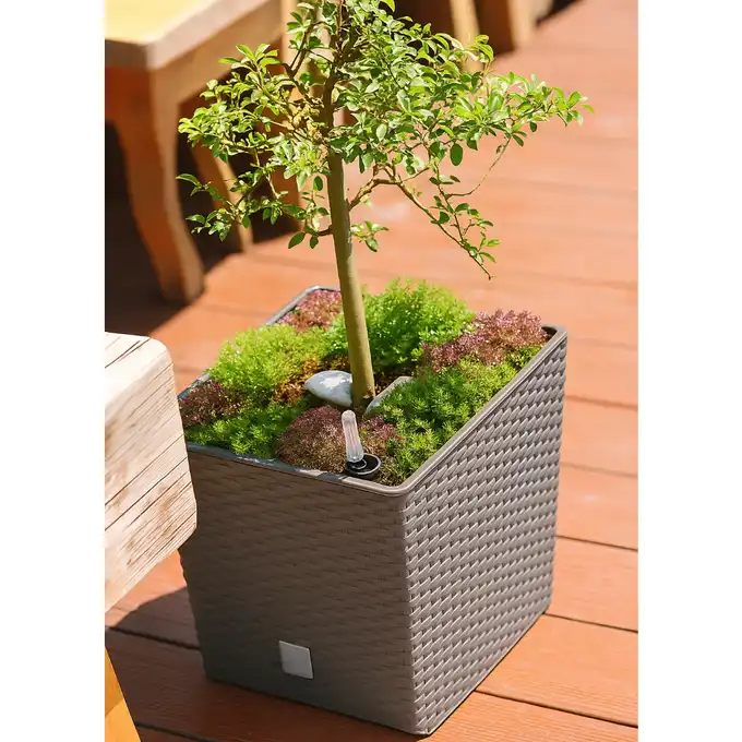 Donica Rato Low 17 cm kwadratowa 4 L z wkładem DRTS170L mocca