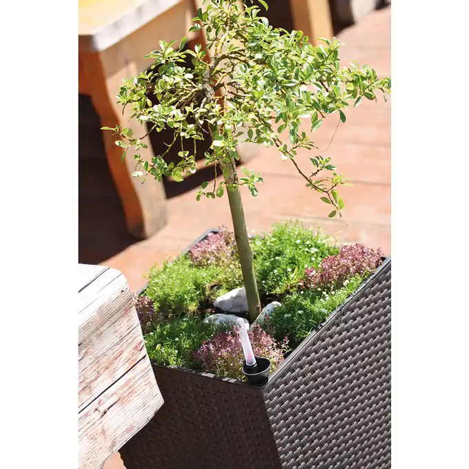 Donica Rato Low 20 cm kwadratowa 6,8 L z wkładem DRTS200L umbra