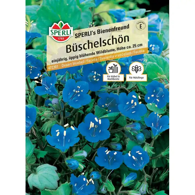 Facelia SPERLI's Bienenfreund Nasiona Premium Sperli