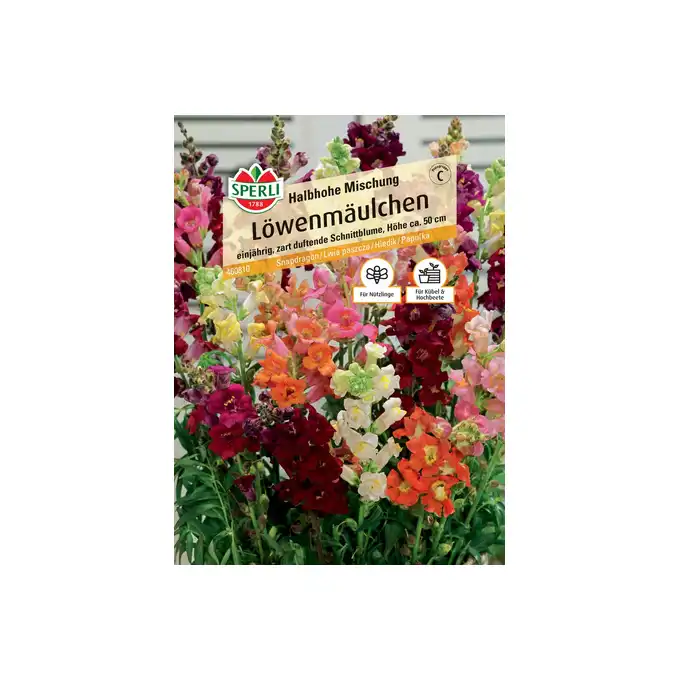 Lwia paszcza Löwenmäulchen Halbhohe Mischung Nasiona Premium Sperli