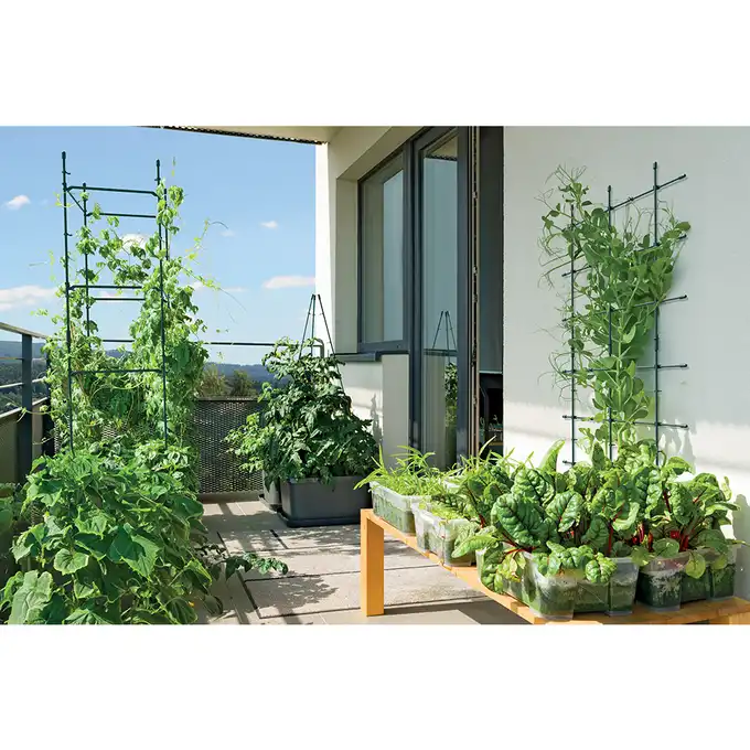 Podpora do roślin Floo Supports IFLS3 60x120 cm zielony leśny