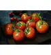 Biovita Nawóz organiczny do pomidorów BIO granulat 3kg