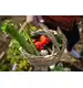 Biovita Wapno nawozowe granulowane 10kg a`100