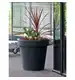 Doniczka LOFLY 24,5 cm DLOF250 6,7 L antracyt