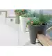 Doniczka Lofly Railing DLOFR400 antracyt 12,3 L na balustradę