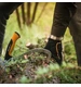 FISKARS WoodXpert dźwignia-obracak do pni drzew (M) 70 cm FIS 1015438
