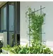 Podpora do roślin Floo Supports IFLS3 60x120 cm zielony leśny