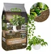 Ziemia BIGOS do roślin domowych zielonych BIOVITA 16l