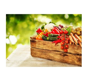 OBORNIK naturalny nawóz organiczny Granulowany 8L eGarden