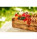 OBORNIK naturalny nawóz organiczny Granulowany 8L eGarden