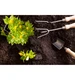OBORNIK naturalny nawóz organiczny Granulowany 8L eGarden