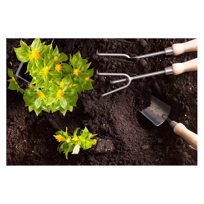 OBORNIK BYDLĘCY naturalny nawóz organiczny Granulowany 8L eGarden