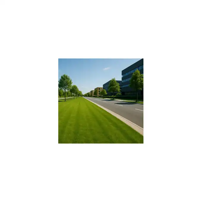 Invest Green trawa samozagęszczająca na tereny inwestycyjne i rekultywację 5 kg
