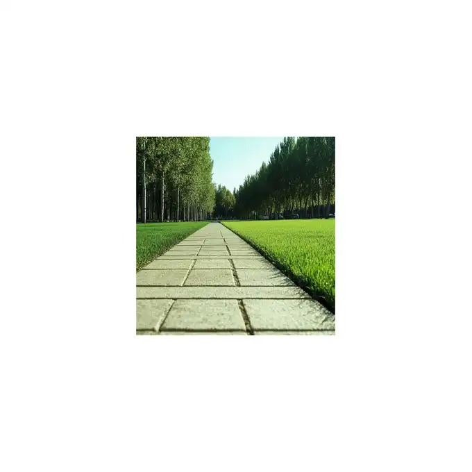 Invest Green trawa samozagęszczająca na tereny inwestycyjne i rekultywację 5 kg