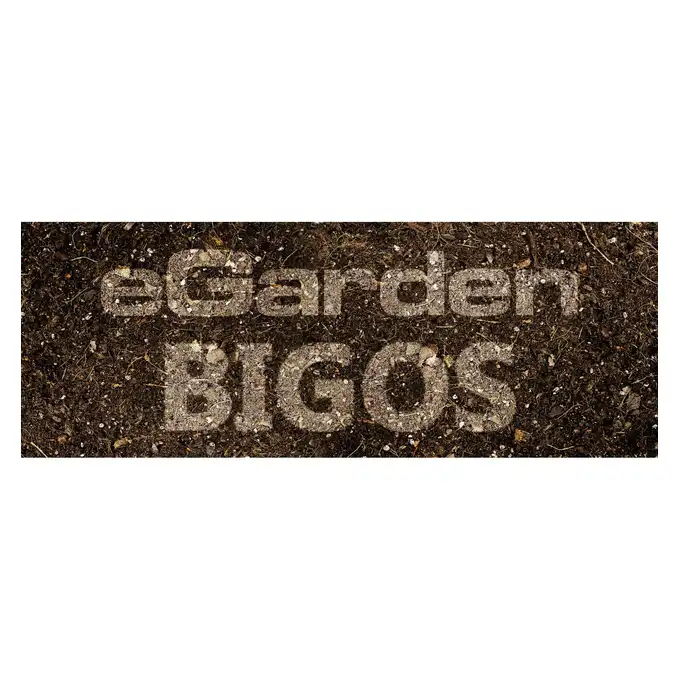 Podłoże BIGOS Lekka Ziemia do Roślin Zielonych Domowych 10l eGarden
