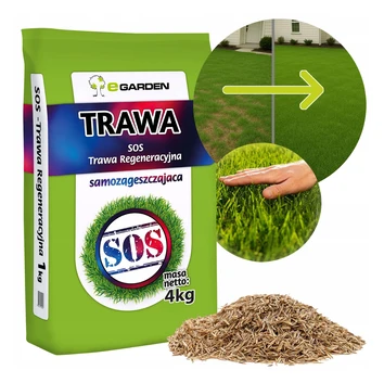 Trawa Renowacyjna, Regeneracyjna SOS Nasiona Trawy na Dosiewkę - 5kg 200m2 eGarden