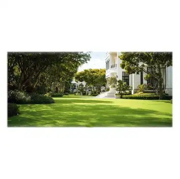 Trawa Royal Supreme Premium gazon grass Mieszanka Traw 5 kg eGarden