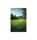 Trawa Royal Supreme Premium gazon grass Mieszanka Traw 5 kg eGarden