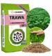 Trawa Samonawożąca 20KG Z MIKROKONICZYNĄ Premium 10% Koniczyna 800m2 eGarden