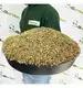 Trawa Samonawożąca 5KG Z MIKROKONICZYNĄ Premium 10% Koniczyna 200m2 eGarden