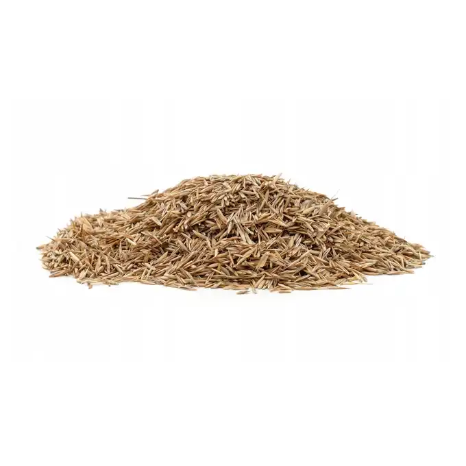 Trawa Samonawożąca 5KG Z MIKROKONICZYNĄ Premium 10% Koniczyna 200m2 eGarden