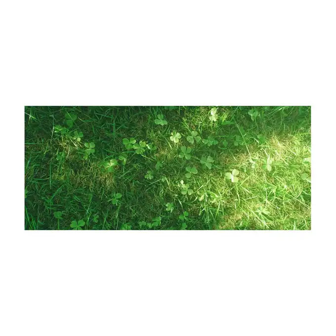 Trawa Samonawożąca 5KG Z MIKROKONICZYNĄ Premium 10% Koniczyna 200m2 eGarden