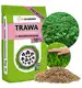 Trawa Samonawożąca 5KG Z MIKROKONICZYNĄ Premium 10% Koniczyna 200m2 eGarden