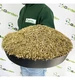 Trawa Samonawożąca z mikrokoniczyną 1kg  40m2 eGarden