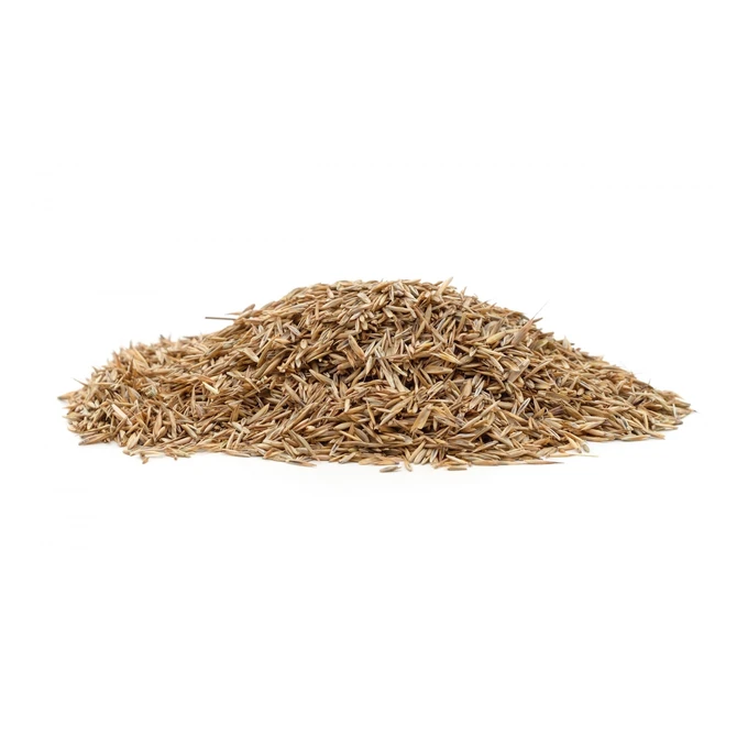 Trawa Samonawożąca z mikrokoniczyną 1kg  40m2 eGarden