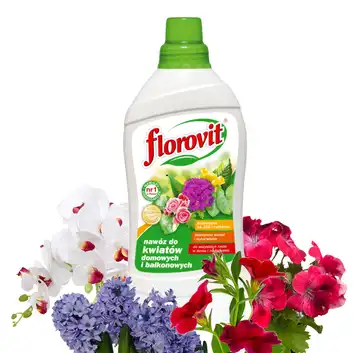 Florovit Płynny nawóz do kwiatów domowych i balkonowych 1 kg