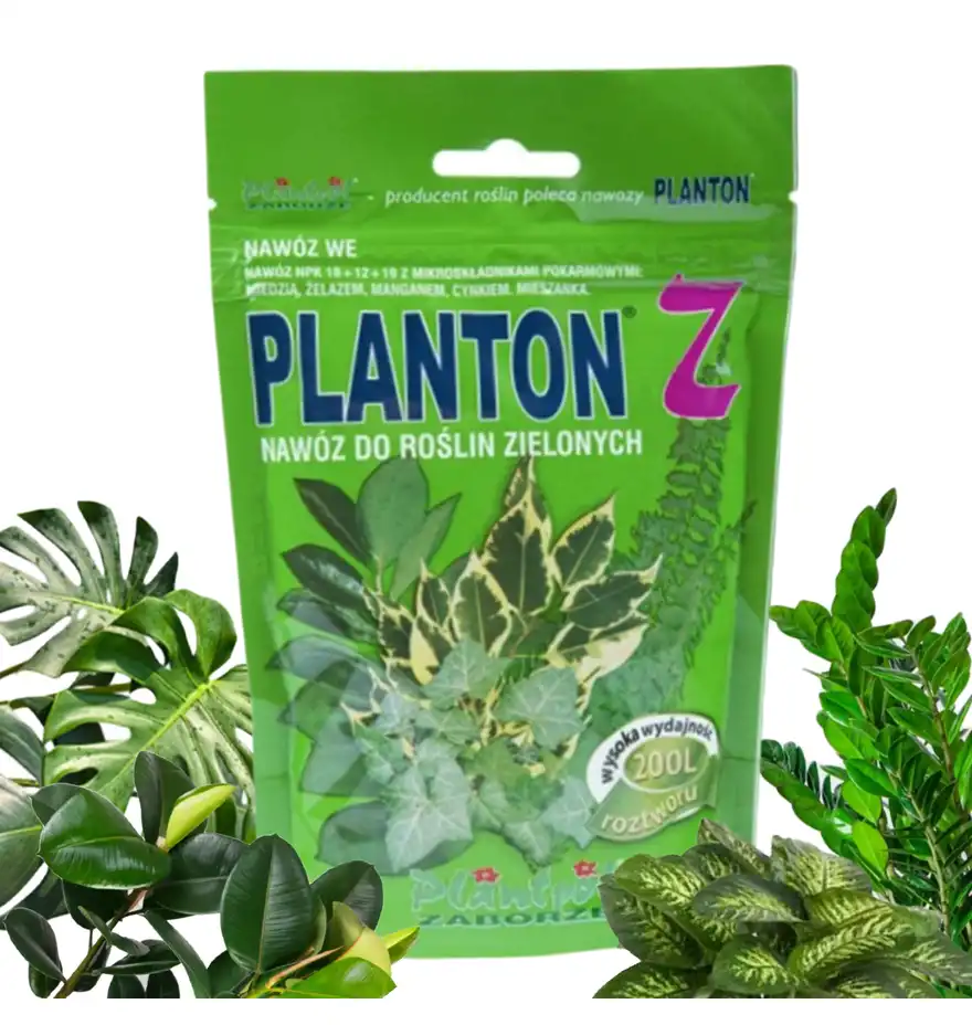 Nawóz do roślin zielonych PLANTON Z monster, zamiokulkasów i fikusów 200g