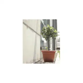 Doniczka TERRA NOVA 0,5L TERAKOTA Prosperplast
