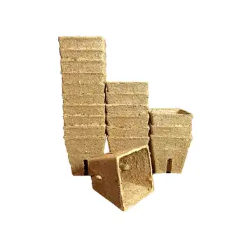 Doniczki torfowe kwadratowe 6x6cm/20 szt. JIFFY