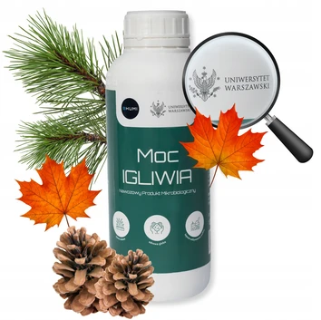 BHUMI Moc igliwia 1L