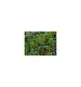 ZESTAW krata stabilizująca STELLA GREEN CZARNA (47,3x47,3x4cm) ZESTAW 10 szt.