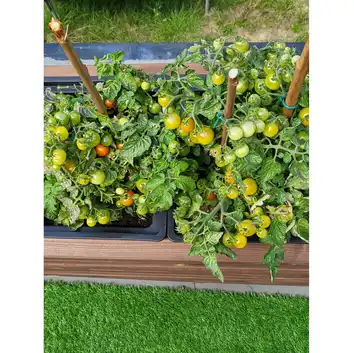 Gotowe podłoże BIO Ziemia do warzyw i pomidorów Biovita 50L